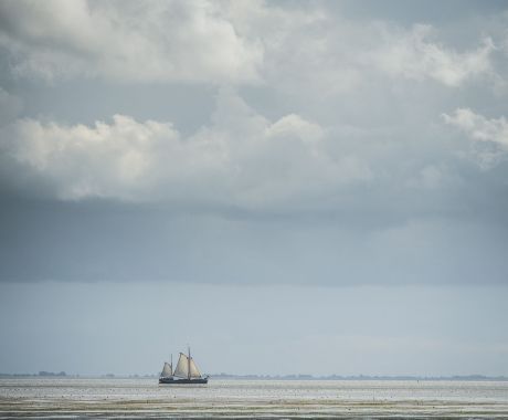 Waddenzee Werelderfgoed - Wadden.nl