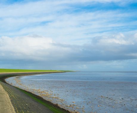 Waddenzee Werelderfgoed - Wadden.nl