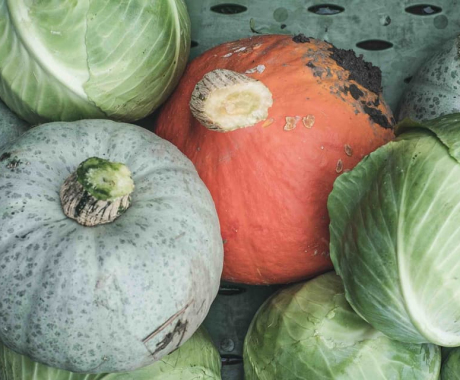 Culinaire Wadden Weken - Wadden.nl