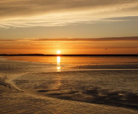 werelderfgoed_de_waddenzee_anja_brouwer_img_1261x.jpg