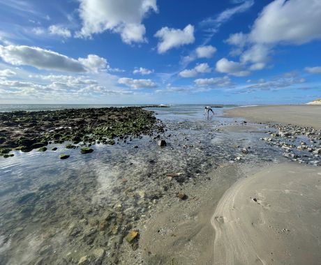 Werelderfgoed de Waddenzee