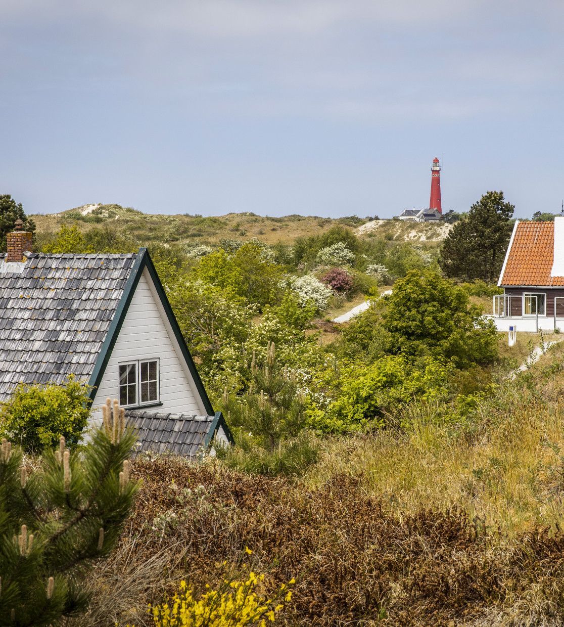 Overnachten op Schiermonnikoog - VVV Schiermonnikoog - Wadden.nl