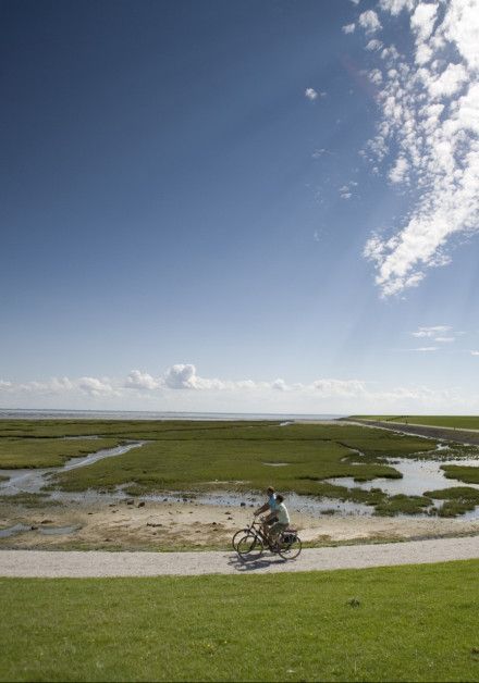 Ontdek het wad op waddeneiland  Terschelling