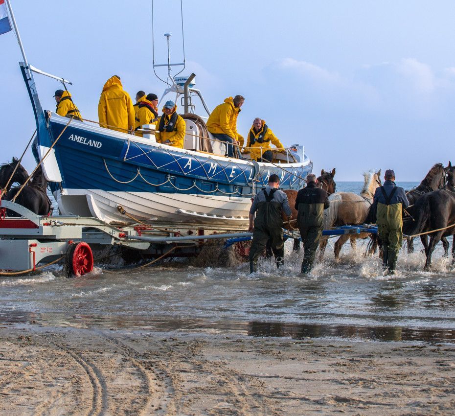 <p>Demonstratie paardenreddingboot Ameland - Wadden.nl</p>