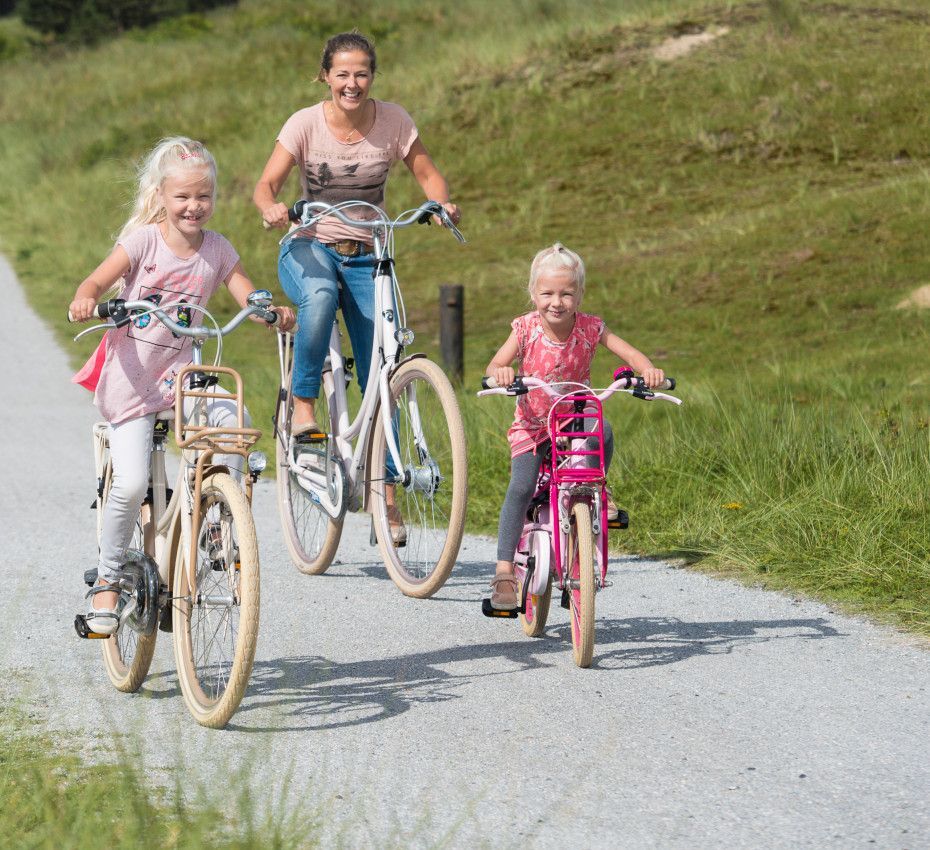 <p>Fietsen, fietshuur en fietsroutes op waddeneiland Ameland - Wadden.nl</p>