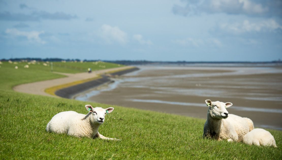 Wat is Werelderfgoed? - Wadden.nl