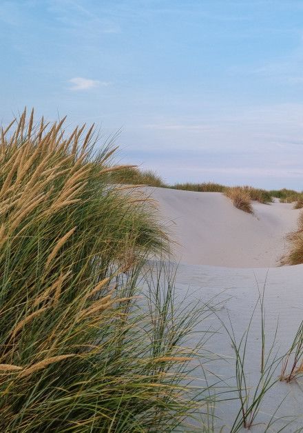 Bungalow last-minute aanbiedingen waddeneiland Terschelling - Bron: Michel Aaldering