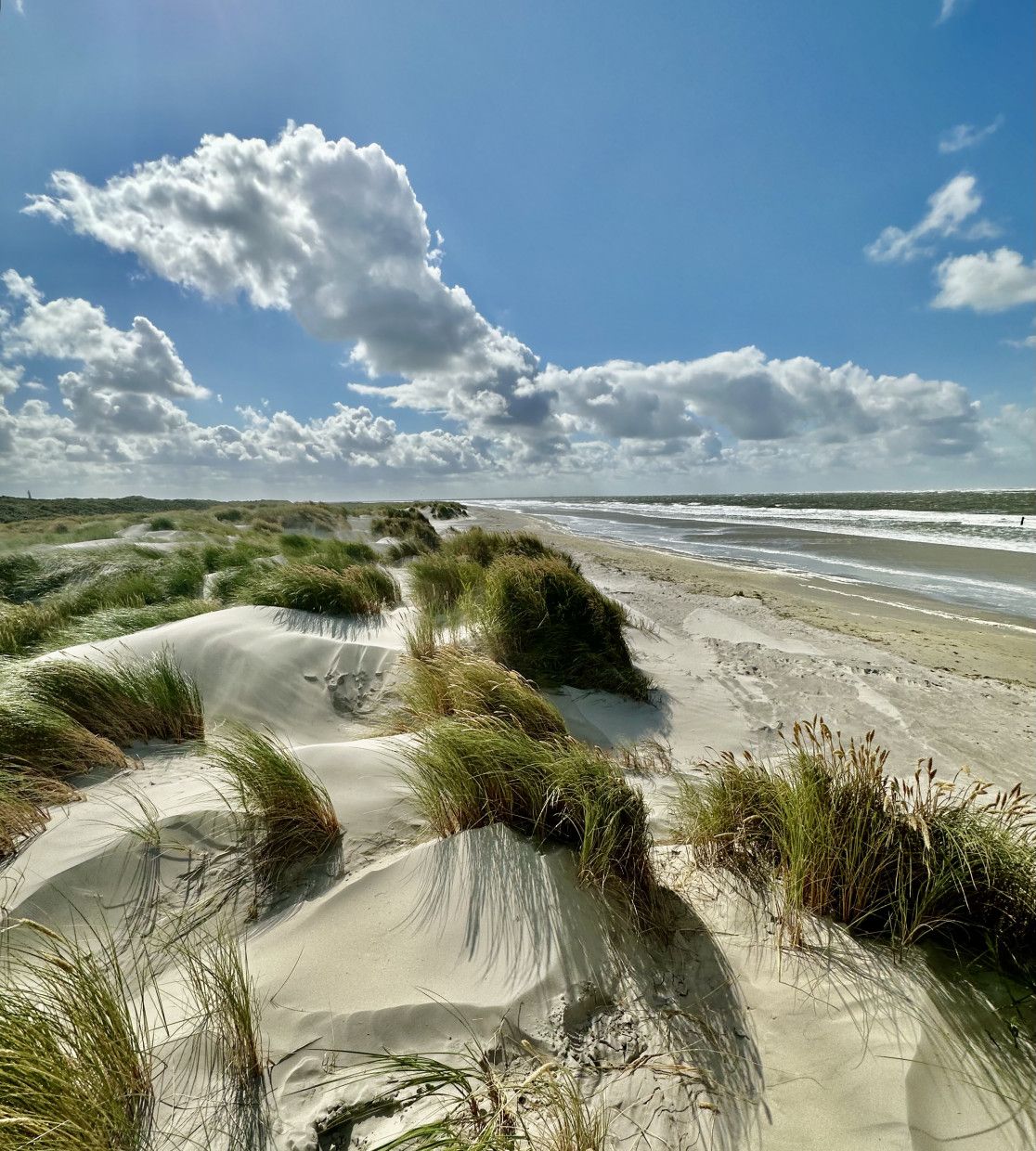 Nationaal Park Schiermonnikoog - VVV Schiermonnikoog - Wadden.nl