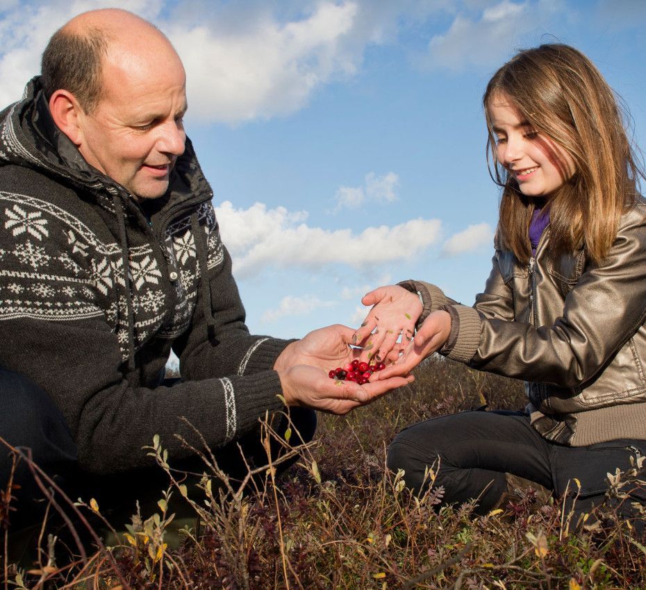 <p>Ontdek de canberry op waddeneiland Terschelling, de gezondste bes die er is!</p>