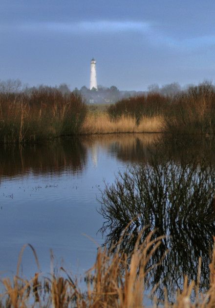 Bekijk álle herfstactiviteiten op waddeneiland Schiermonnikoog