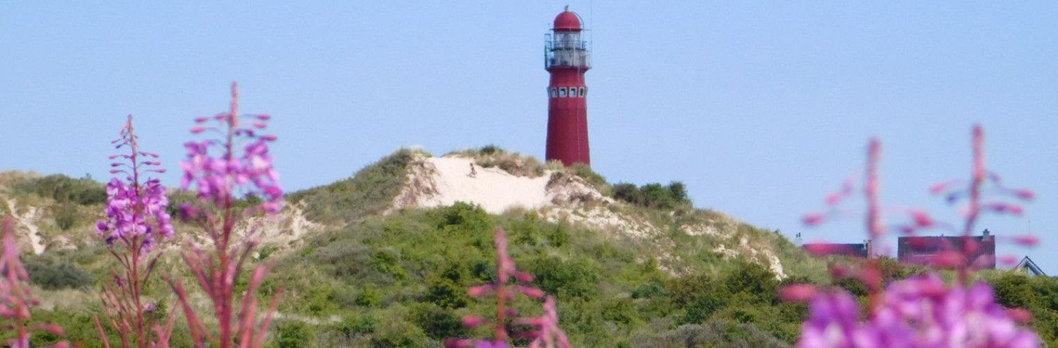 Vogelspotten als activiteit op de waddeneilanden