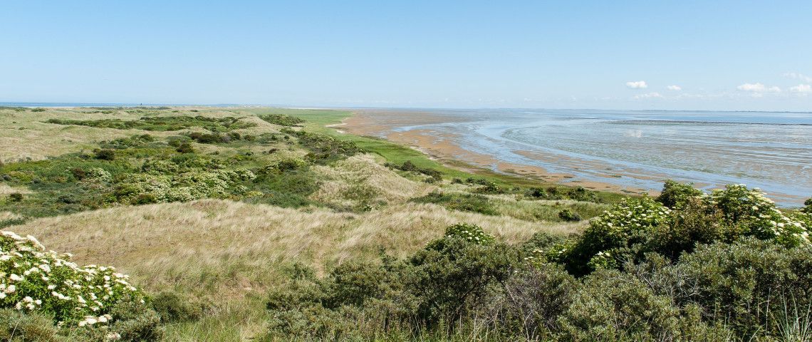 De mooiste uitkijkpunten van waddeneiland Ameland - VVV Ameland - Wadden.nl