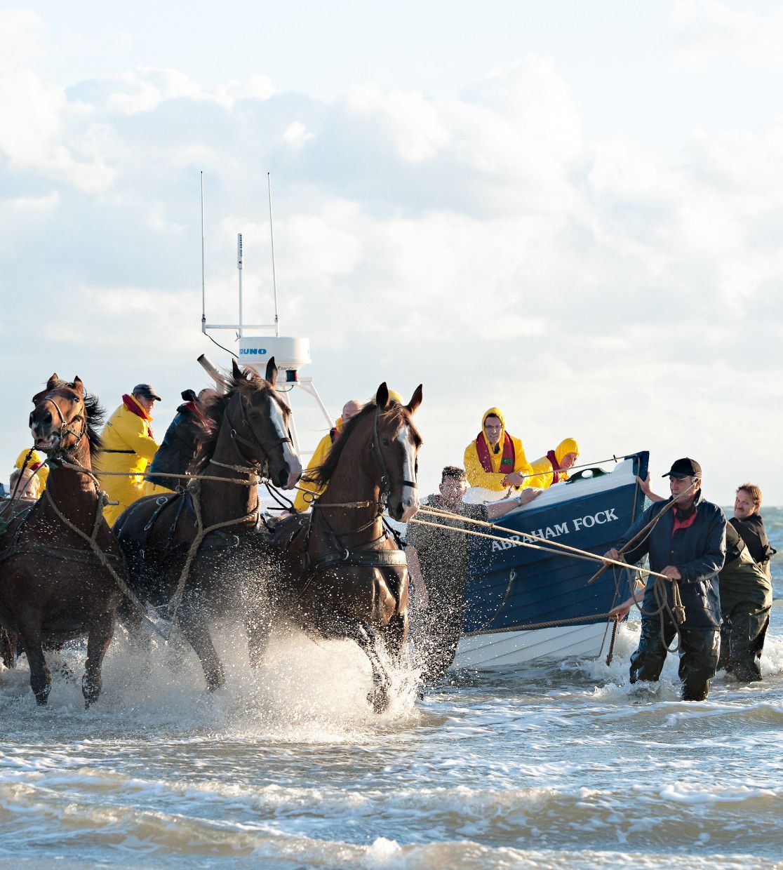 Bekijk de agenda van de waddeneilanden Texel, Vlieland, Terschelling, Ameland en Schiermonnikoog voor het jaar 2025