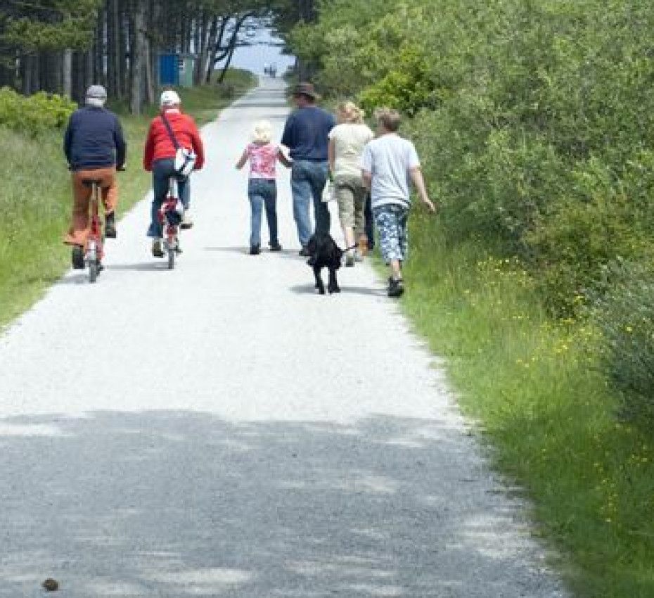 <p>Fietsen, fietsverhuur en fietsroutes op waddeneiland Vlieland - Wadden.nl</p>