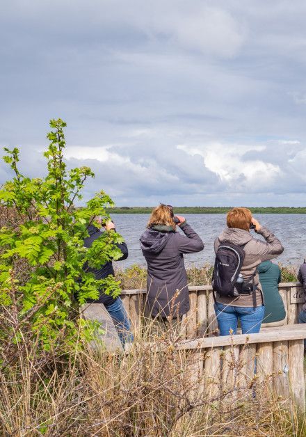 Excursies op waddeneiland Texel