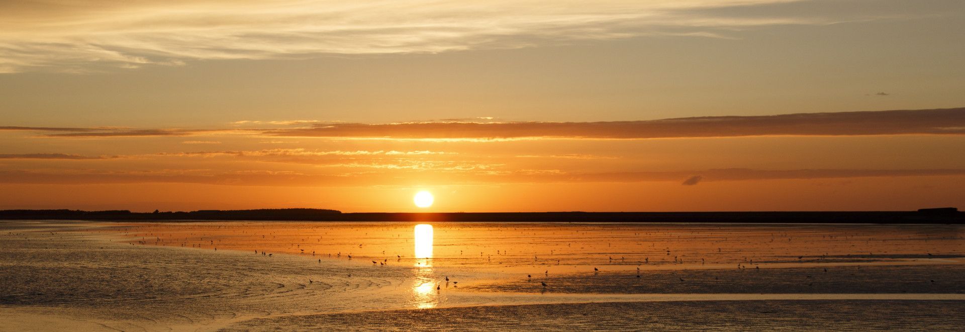 Het is genieten op de Waddeneilanden! - Wadden.nl - Foto: Anja Brouwer