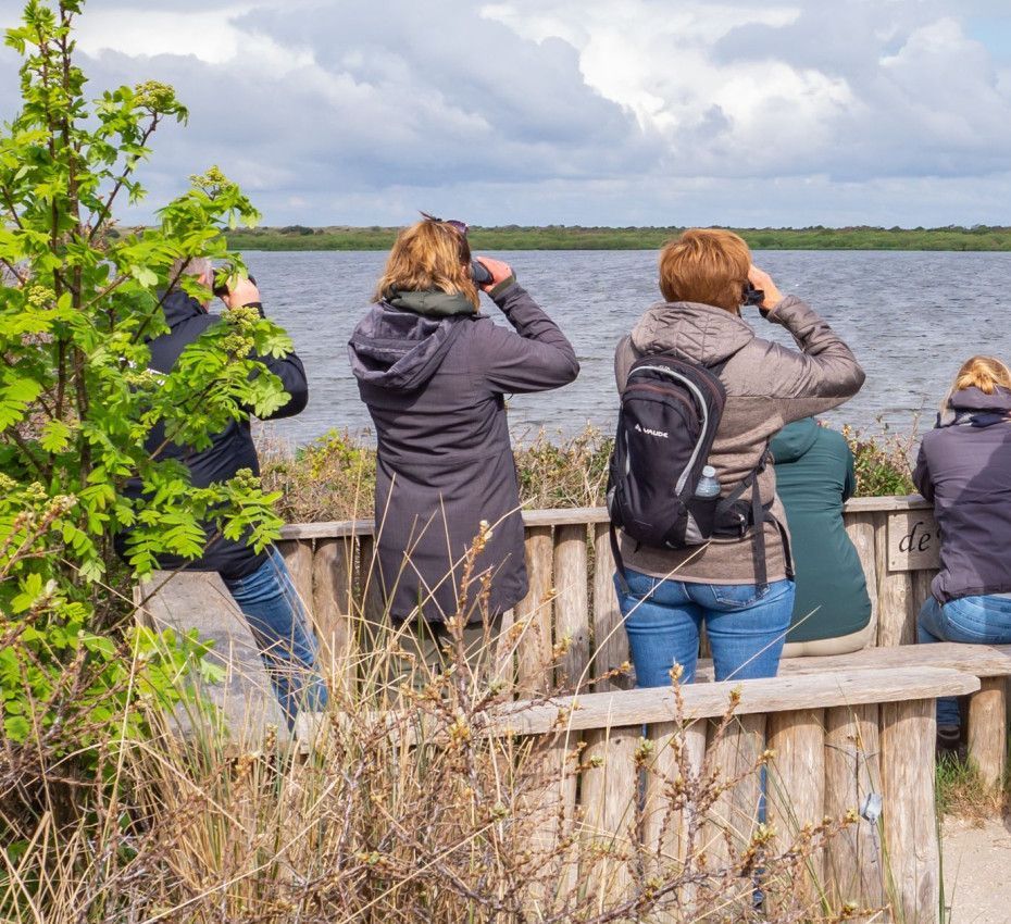 <p>Vogeluitkijkpunt bij Oudeschild op waddeneiland Texel</p>