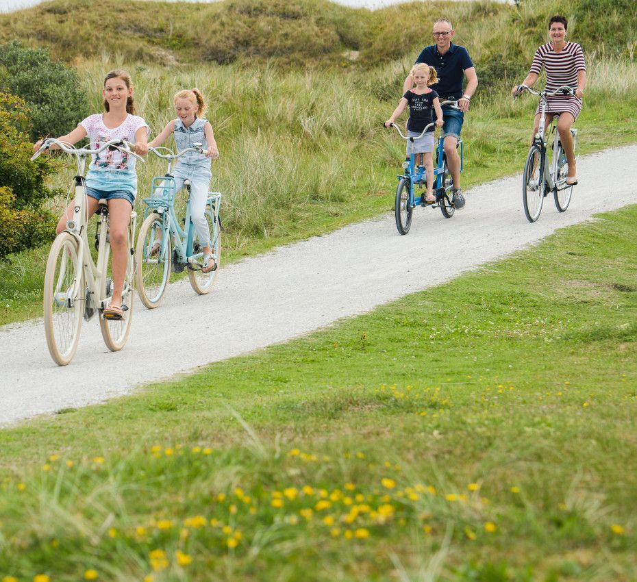 <p>Fietsarrangementen op de Waddeneilanden - Wadden.nl</p>