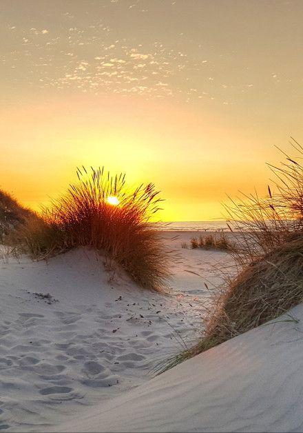 Breng een bezoek aan het strand van Terschelling - Wadden.nl