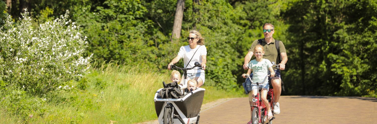 Met een arrangementen op waddeneiland Vlieland boek je een onvergetelijke ervaring! - Wadden.nl