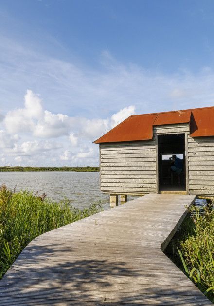 Bezoek de vogelkijkhut op waddeneiland Ameland