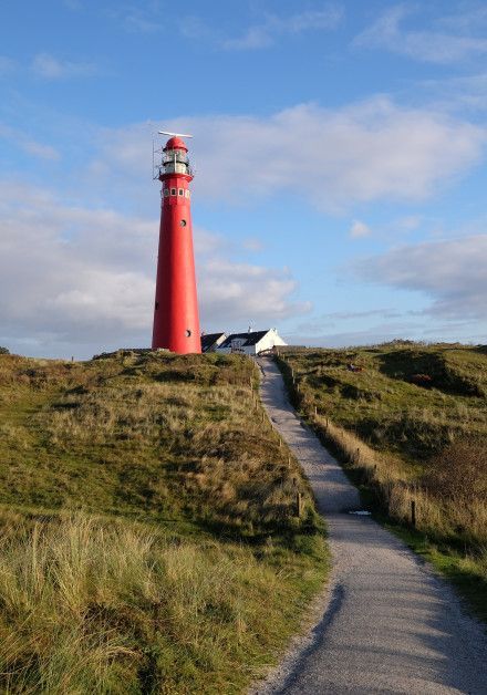 Ontdek het wad op waddeneiland Schiermonnikoog