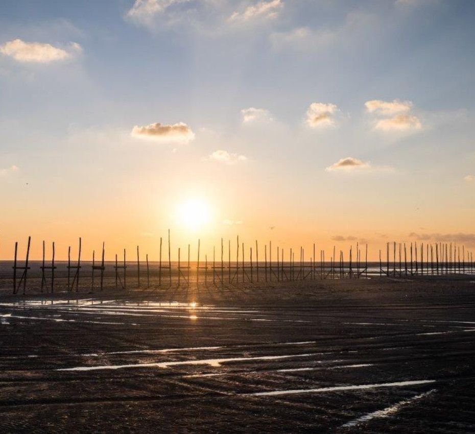 <p>Ontdek wat wadeneiland Vlieland zo bijzonder maakt! - De Vliehors</p>