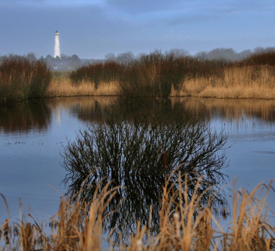 <p>Beleef De Westerplas op waddeneiland Schiermonnikoog - Wadden.nl</p>