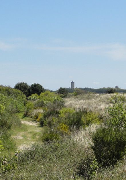 Excursies op waddeneiland Terschelling