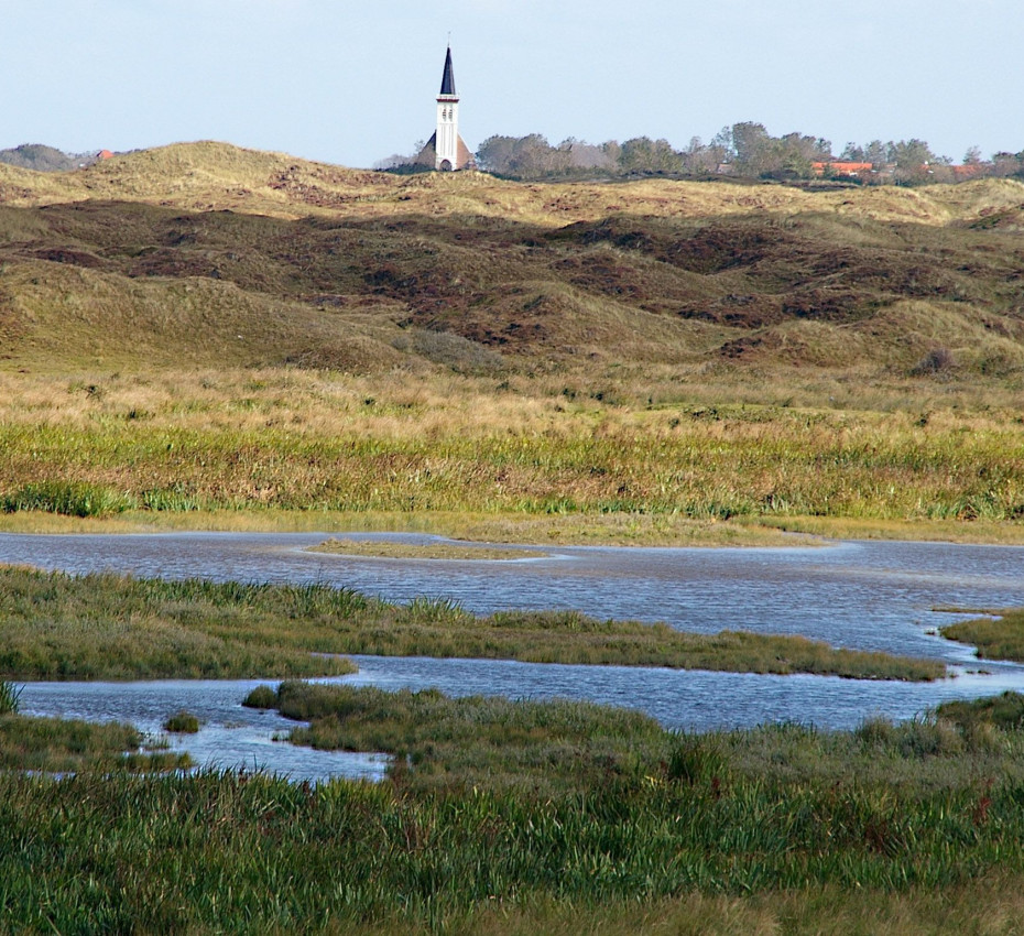 <p>Ontdek de natuur tijdens de herfstvakantie op waddeneiland Texel, Vlieland, Terschelling, Ameland en Schiermonnikoog - Wadden.nl</p>