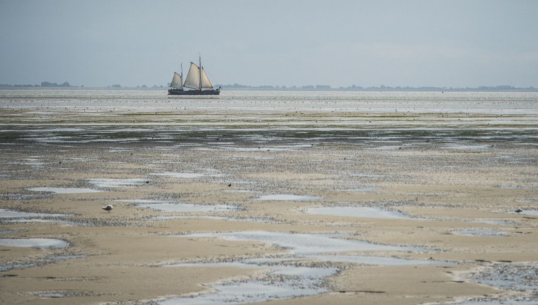 De Waddenzee is uniek - Wadden.nl