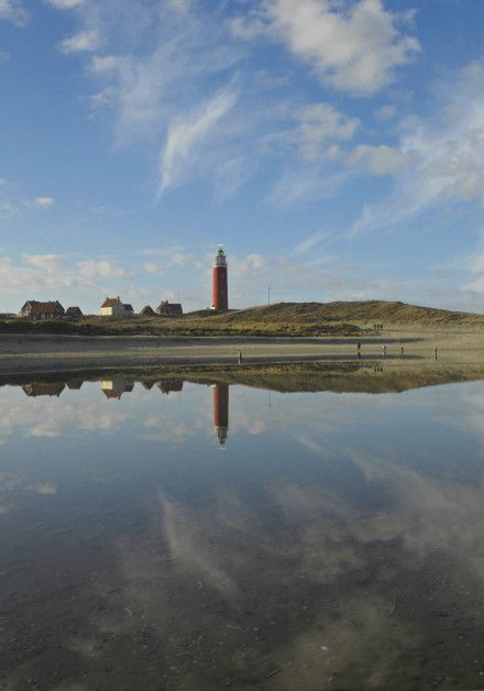 Ontdek het wad op waddeneiland Texel