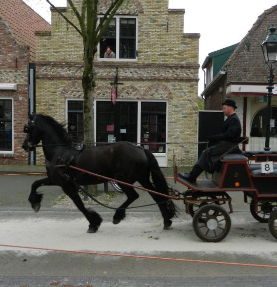 Tuigwedstrijd - Beleef de herfst op waddeneiland Terschelling