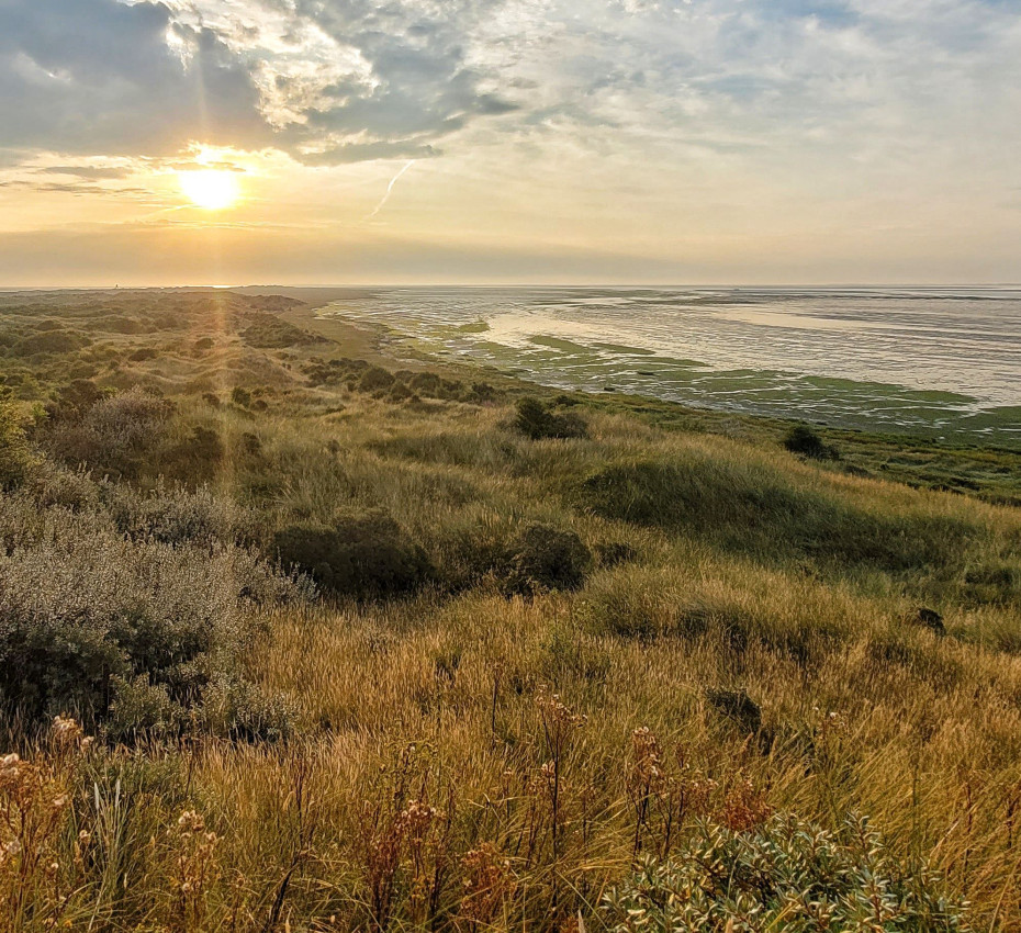 <p>Ontdek deze natuurgebieden tijdens de herfstvakantie van 2024 op waddeneiland Texel, Vlieland, Terschelling, Ameland en Schiermonnikoog - Wadden.nl</p>