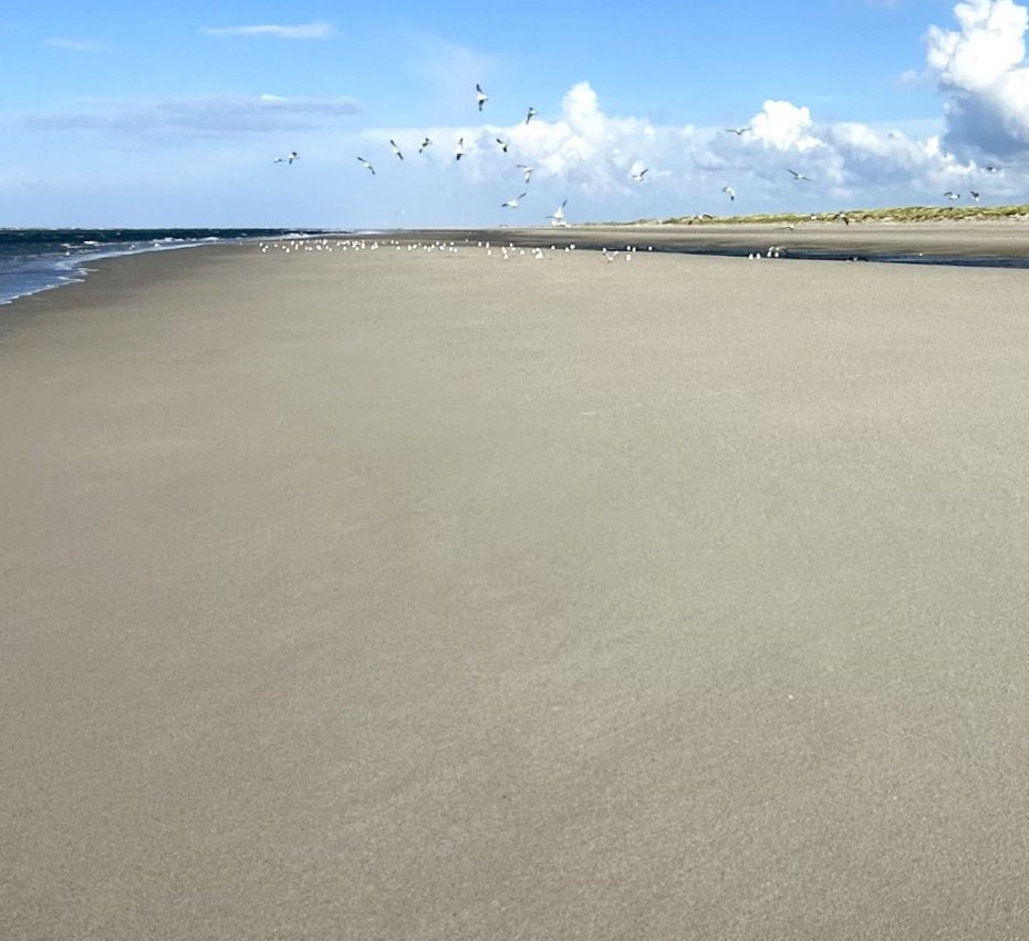 <p>Herfstvakantie noord, midden of zuid: ontdek deze natuurgebieden op waddeneiland Texel, Vlieland, Terschelling, Ameland en Schiermonnikoog - Wadden.nl</p>