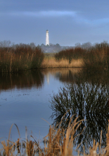 Bekijk álle herfstactiviteiten op waddeneiland Schiermonnikoog