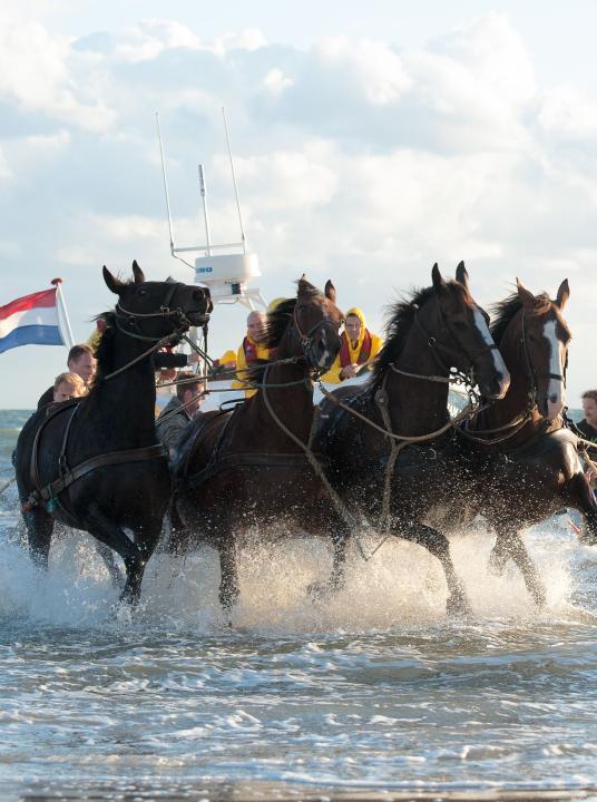 Demonstratie paardenreddingboot - Wadden.nl - VVV Ameland