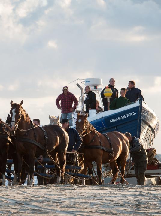 Demonstratie paardenreddingboot - Wadden.nl - VVV Ameland