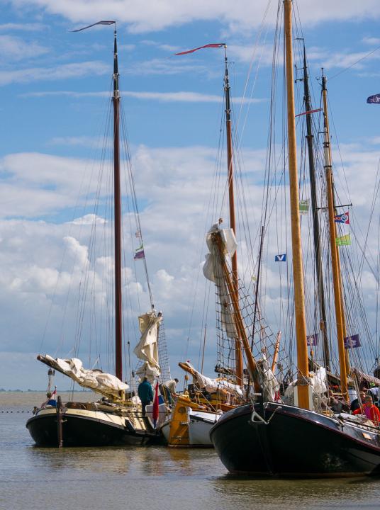 Waddenhoppen - Wadden.nl